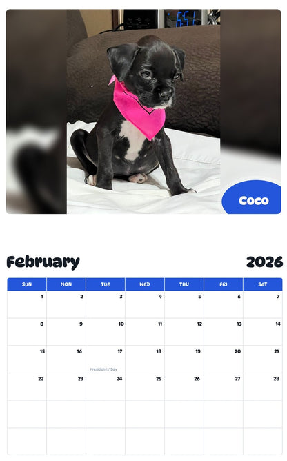 October 2025 - September 2026 Coco - Pawidols Pet Calendar