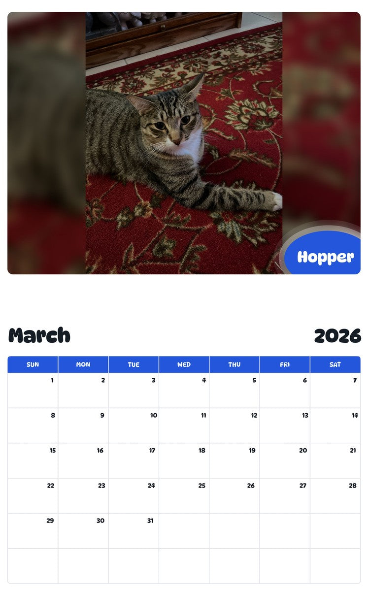 November 2025 - October 2026 Hopper - Pawidols Pet Calendar