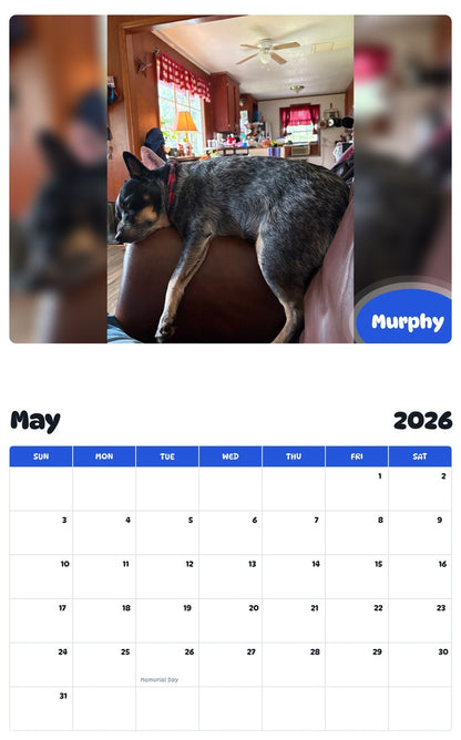 2026 - 2027 Murphy - Pawidols Pet Calendar