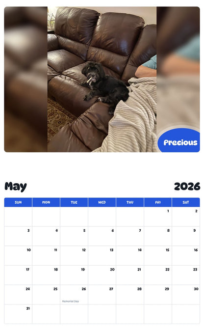 2026 - 2027 Precious - Pawidols Pet Calendar