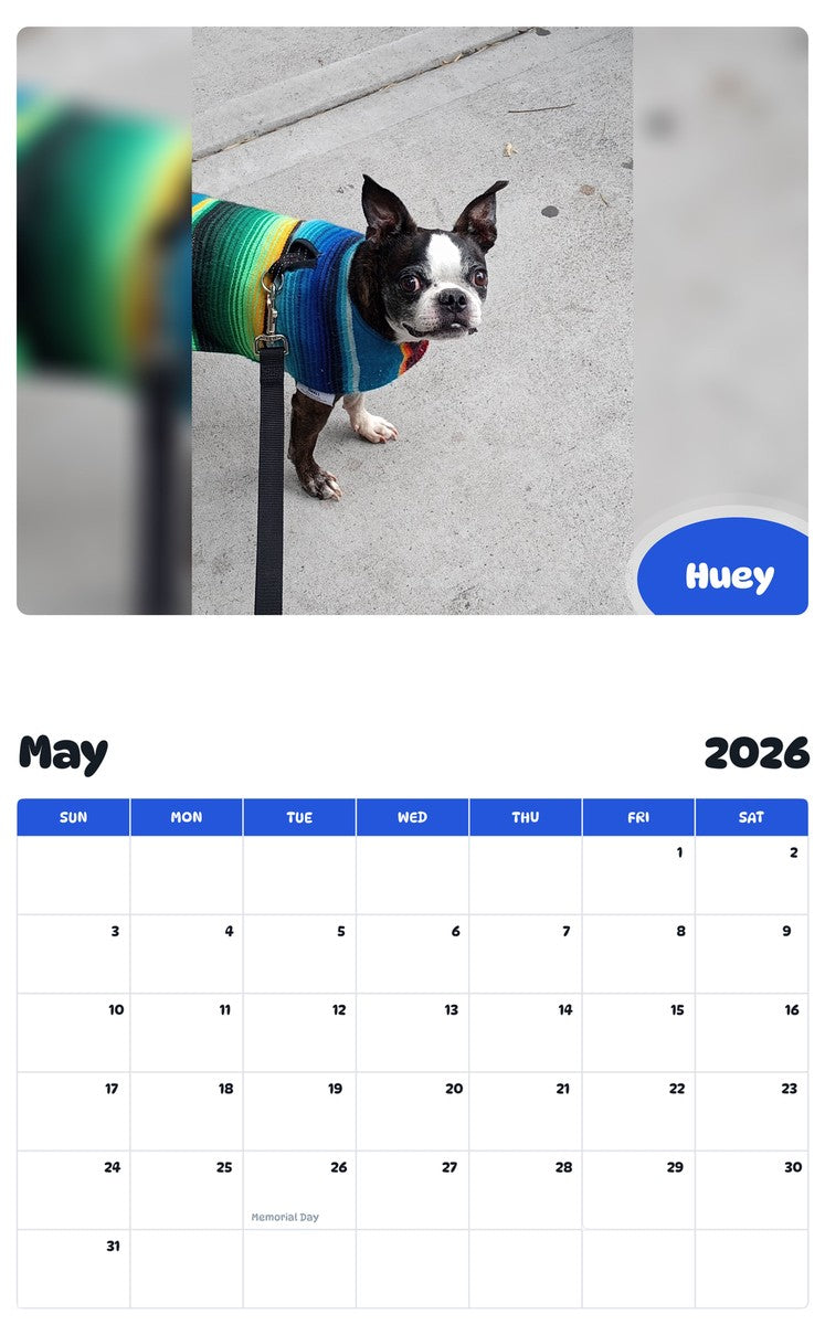 2026 - 2027 Huey - Pawidols Pet Calendar