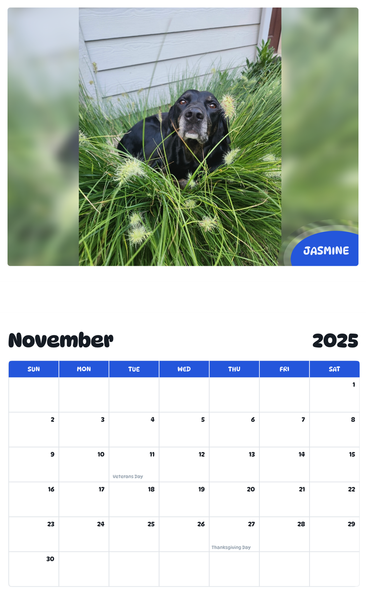July 2025 - June 2026 Jasmine - Pawidols Pet Calendar