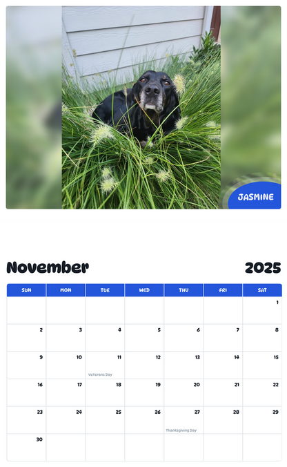 July 2025 - June 2026 Jasmine - Pawidols Pet Calendar
