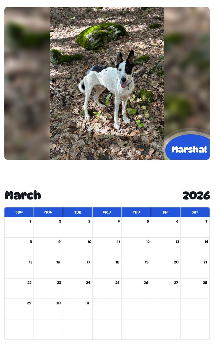 November 2025 - October 2026 Marshal - Pawidols Pet Calendar