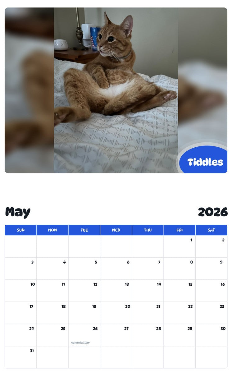 2026 - 2027 Tiddles - Pawidols Pet Calendar