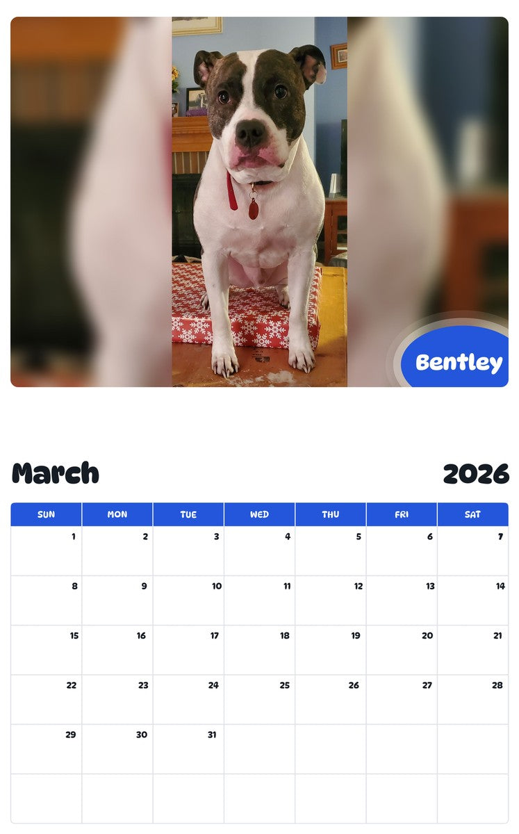 November 2025 - October 2026 Bentley - Pawidols Pet Calendar