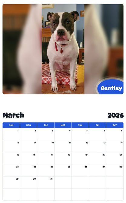 November 2025 - October 2026 Bentley - Pawidols Pet Calendar
