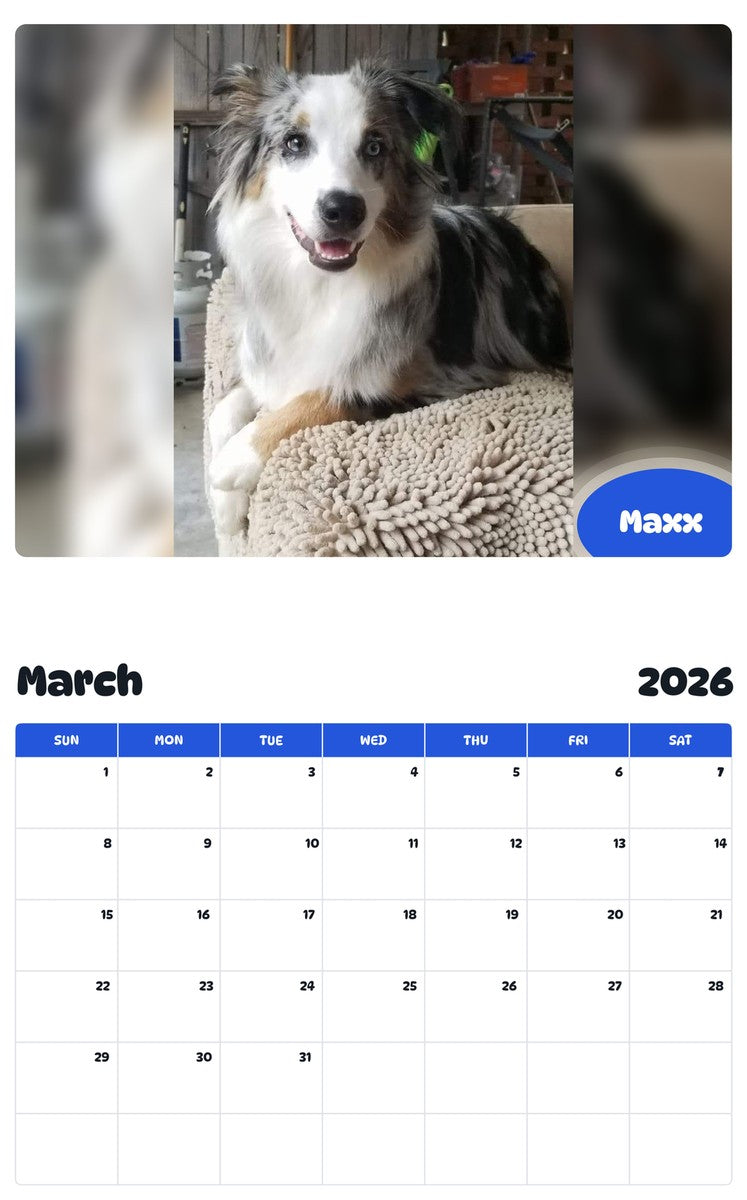 November 2025 - October 2026 Maxx - Pawidols Pet Calendar