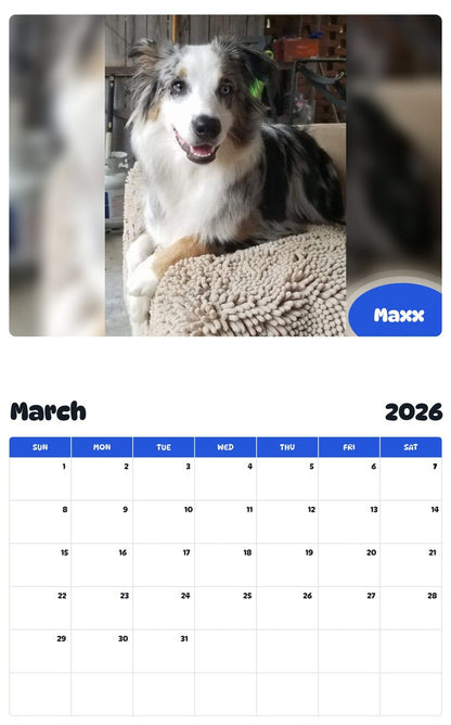 November 2025 - October 2026 Maxx - Pawidols Pet Calendar
