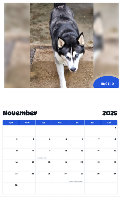 July 2025 - June 2026 Buster - Pawidols Pet Calendar