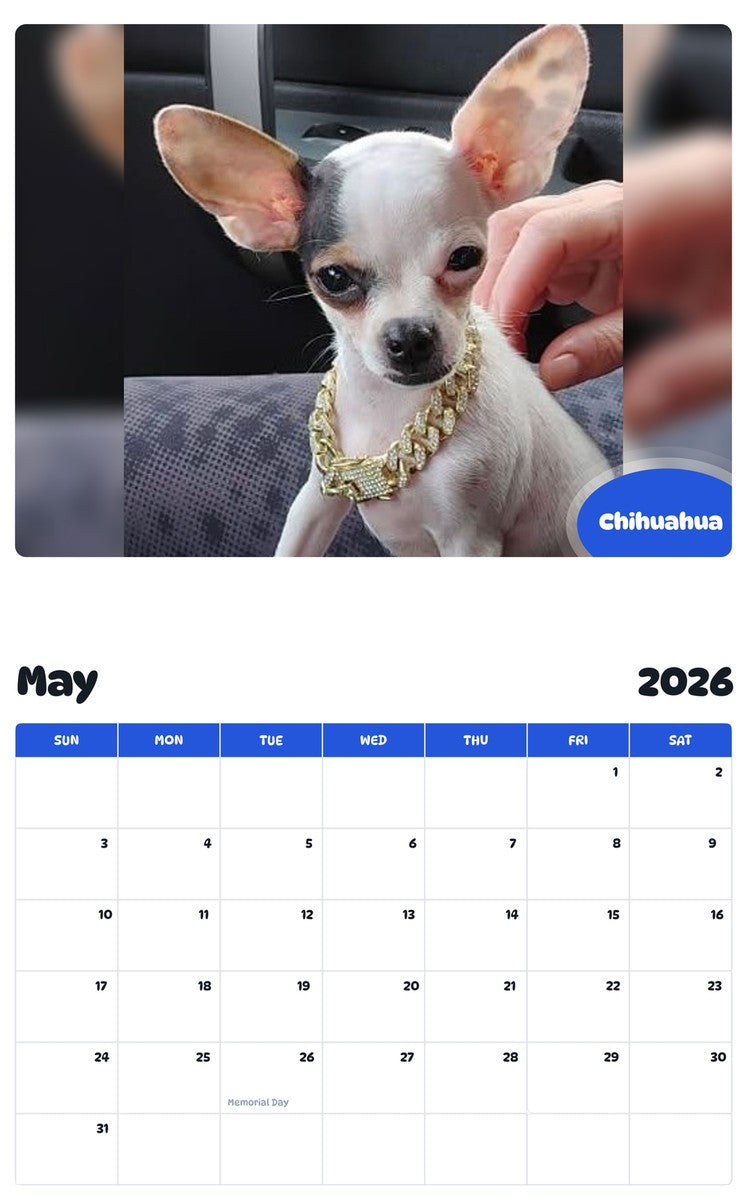 2026 - 2027 Chihuahua - Pawidols Pet Calendar