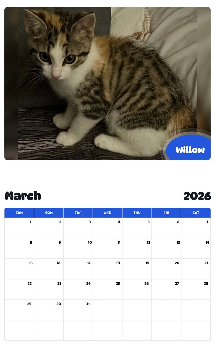 November 2025 - October 2026 Willow - Pawidols Pet Calendar