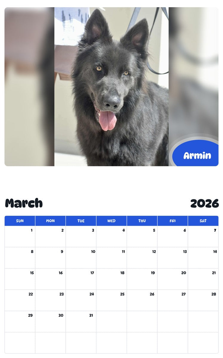 November 2025 - October 2026 Armin - Pawidols Pet Calendar