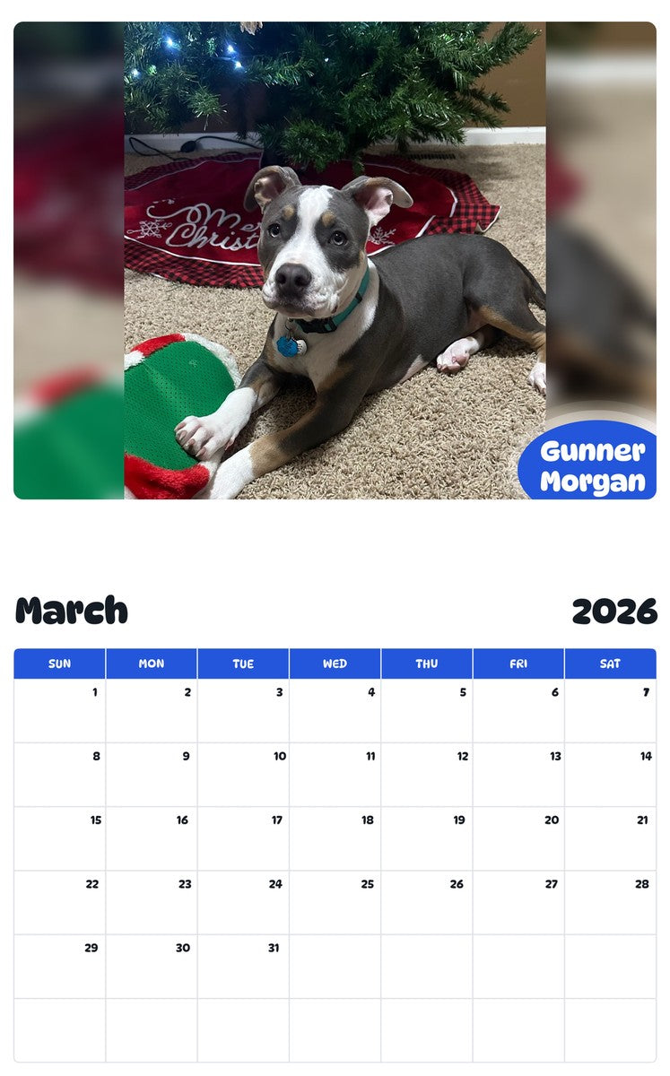 November 2025 - October 2026 Gunner Morgan - Pawidols Pet Calendar