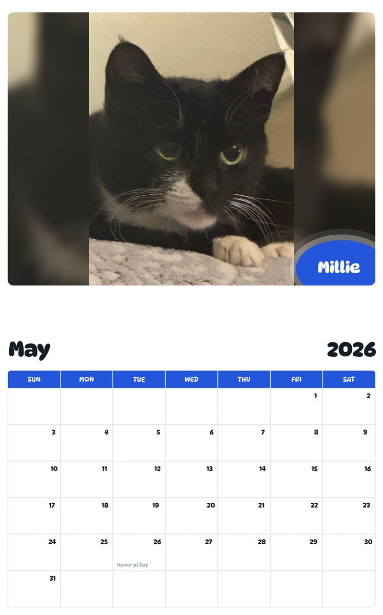 2026 - 2027 Millie - Pawidols Pet Calendar