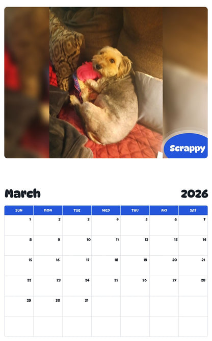 November 2025 - October 2026 Scrappy - Pawidols Pet Calendar