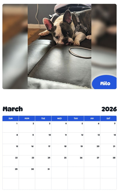 November 2025 - October 2026 Milo - Pawidols Pet Calendar