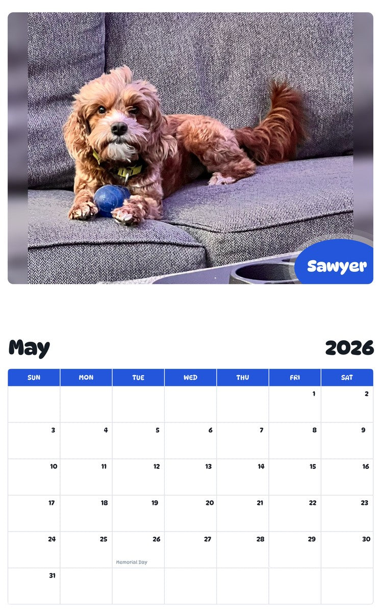 2026 - 2027 Sawyer - Pawidols Pet Calendar