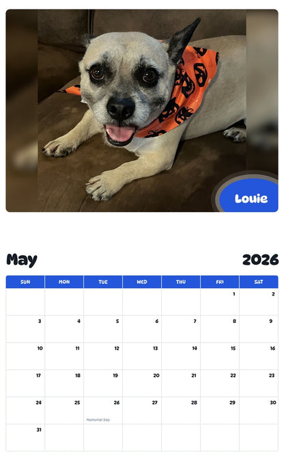 2026 - 2027 Louie - Pawidols Pet Calendar