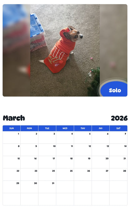 November 2025 - October 2026 Solo - Pawidols Pet Calendar