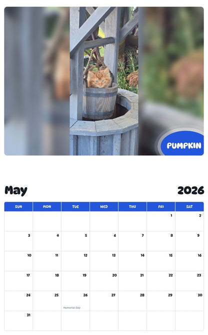 2026 - 2027 PUMPKIN - Pawidols Pet Calendar