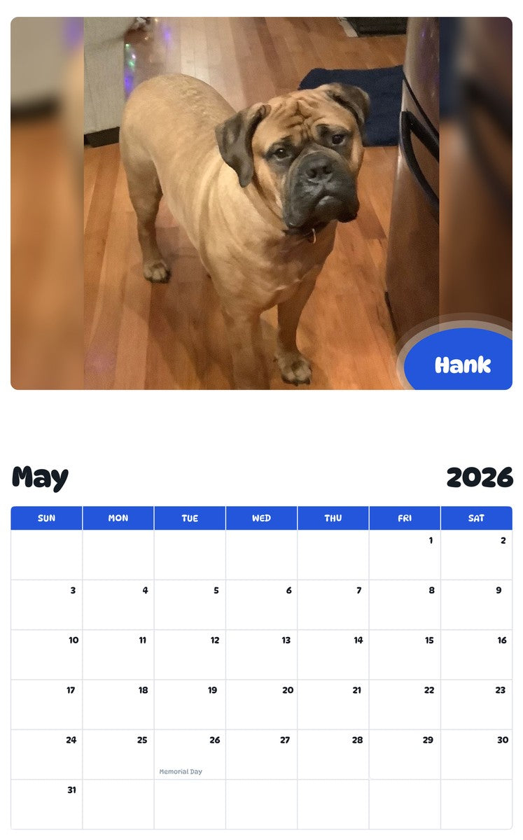 2026 - 2027 Hank - Pawidols Pet Calendar