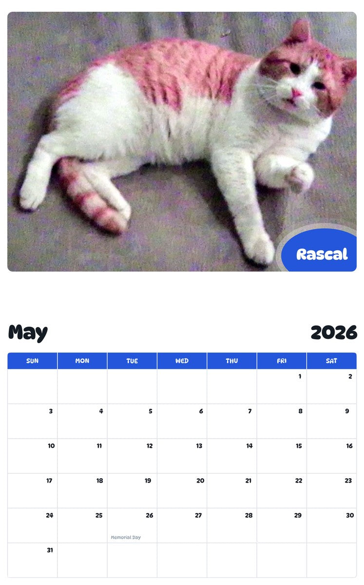 2026 - 2027 Rascal - Pawidols Pet Calendar