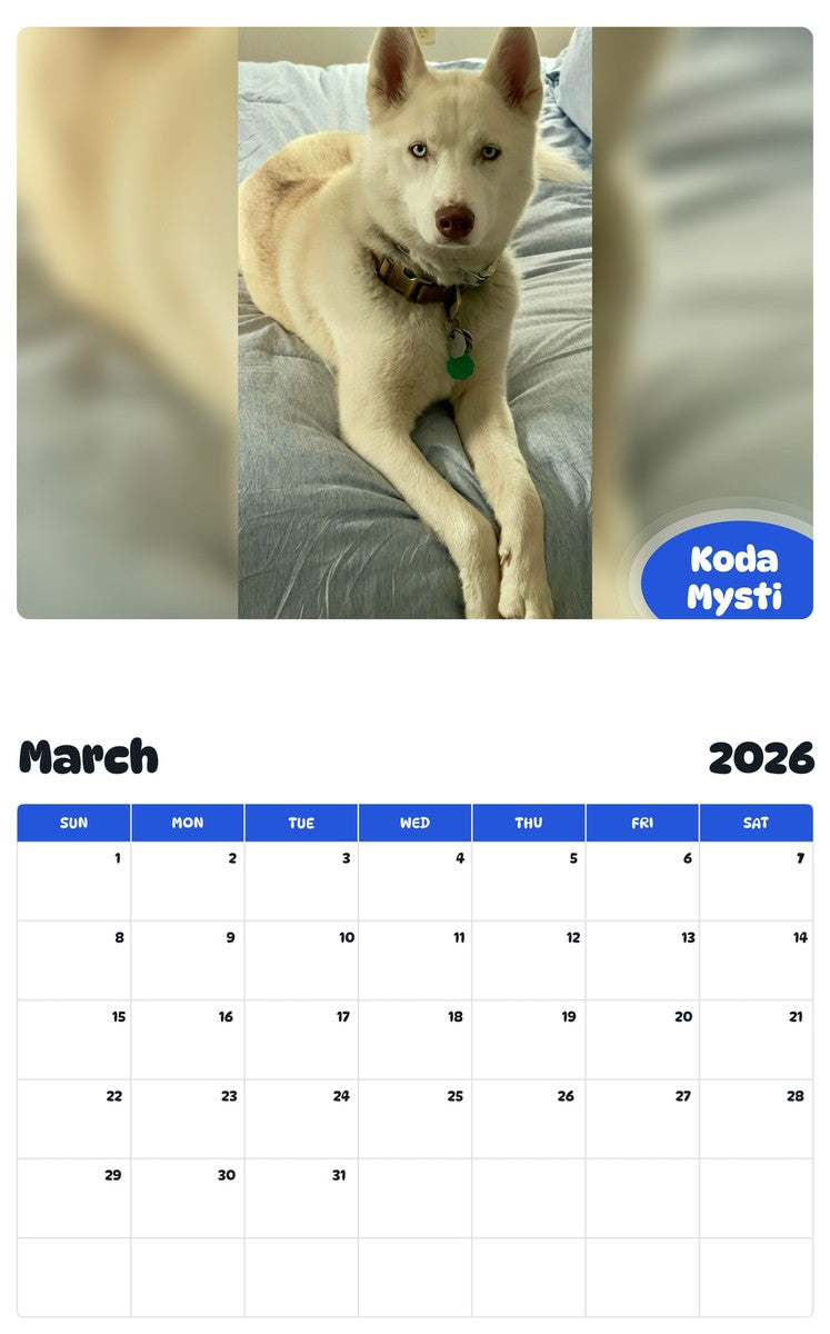 November 2025 - October 2026 Koda Mysti - Pawidols Pet Calendar