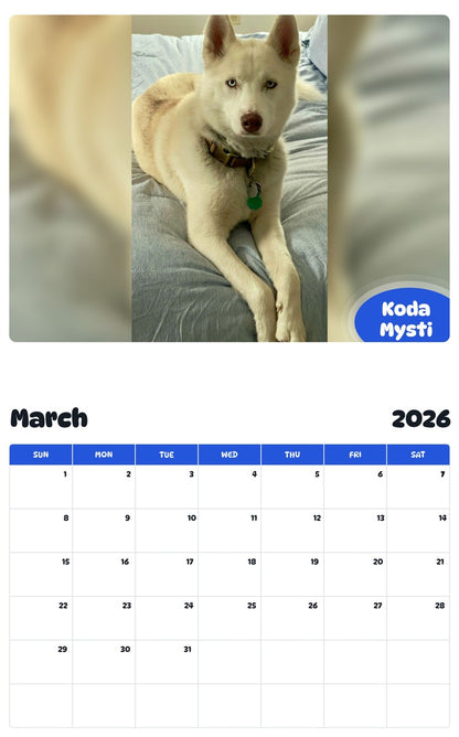 November 2025 - October 2026 Koda Mysti - Pawidols Pet Calendar