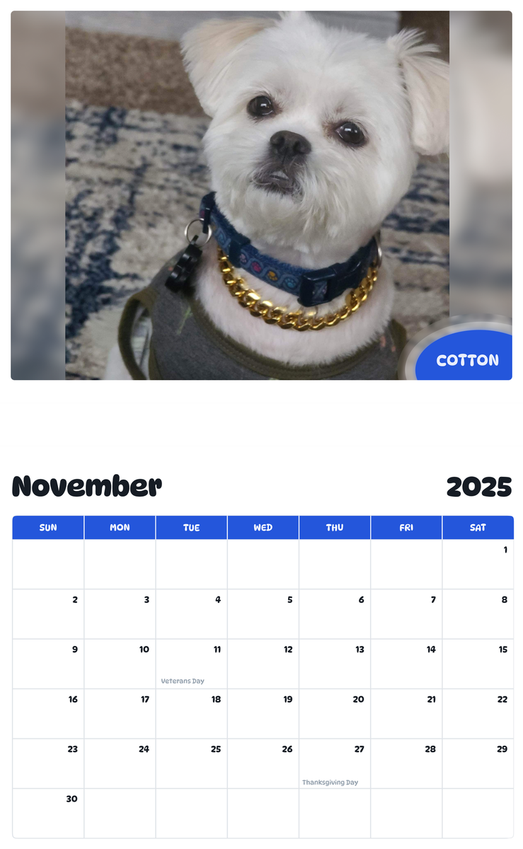 July 2025 - June 2026 Cotton - Pawidols Pet Calendar