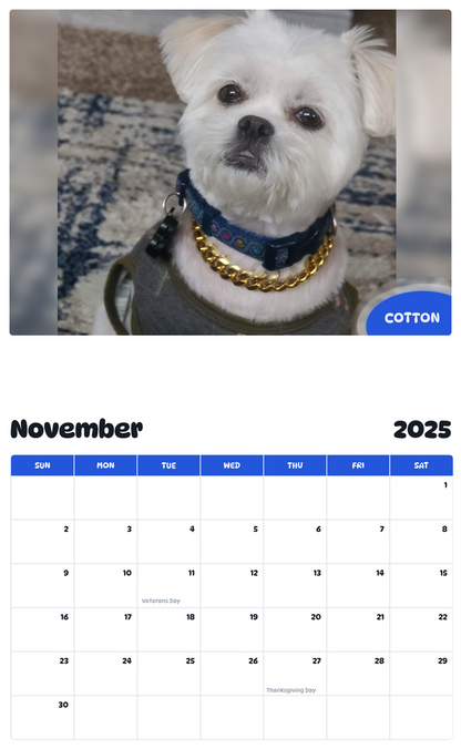 July 2025 - June 2026 Cotton - Pawidols Pet Calendar