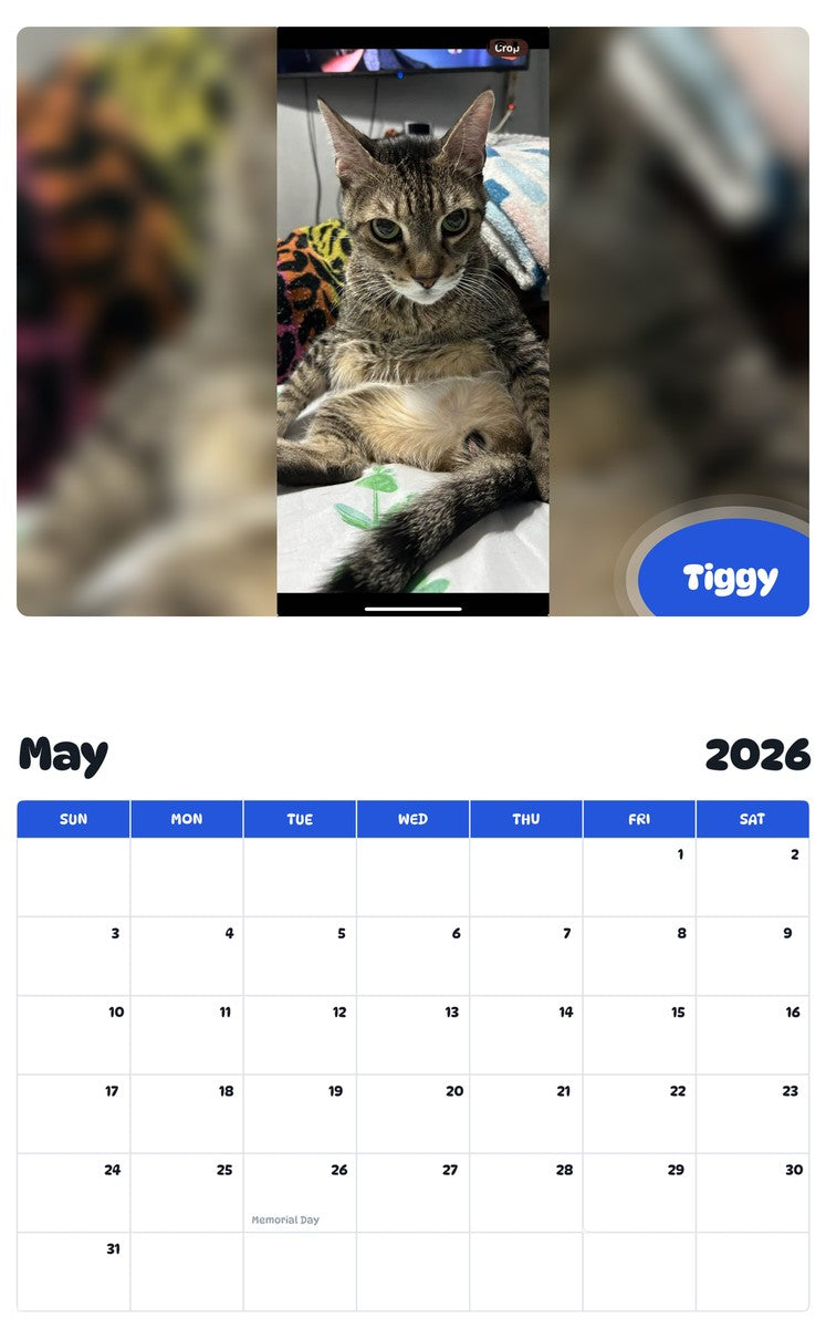 2026 - 2027 Tiggy - Pawidols Pet Calendar
