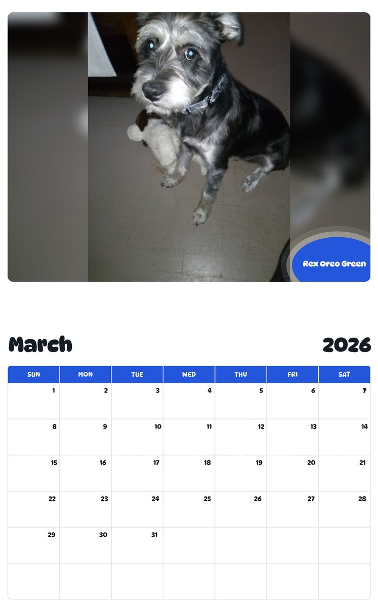 November 2025 - October 2026 Rex Oreo Green - Pawidols Pet Calendar