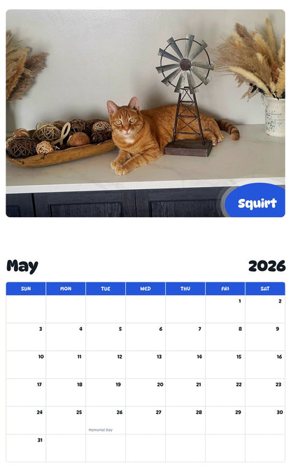 2026 - 2027 Squirt - Pawidols Pet Calendar