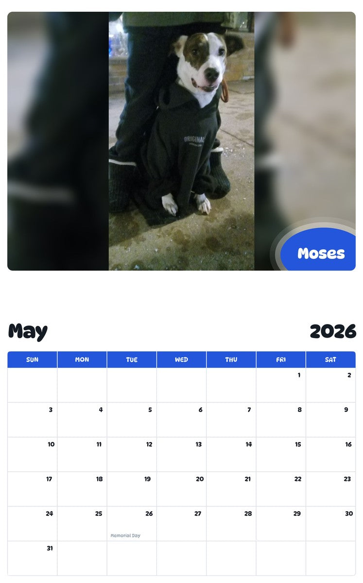 2026 - 2027 Moses - Pawidols Pet Calendar