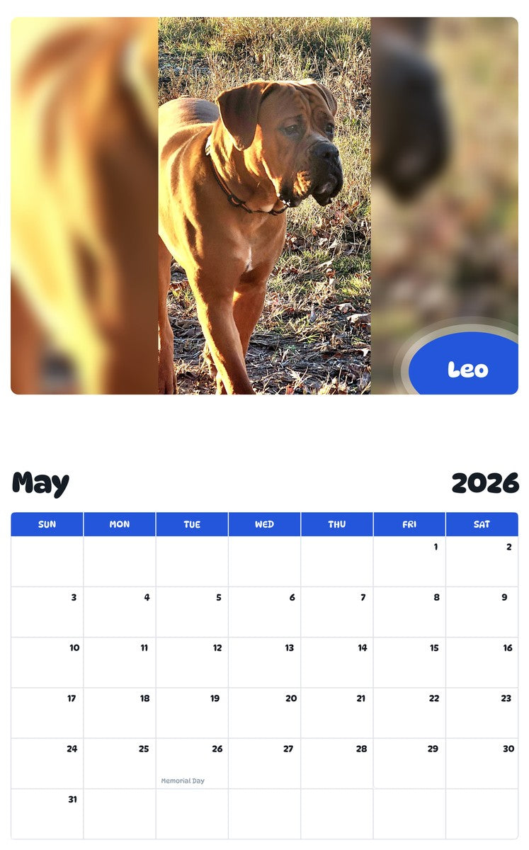 2026 - 2027 Leo - Pawidols Pet Calendar