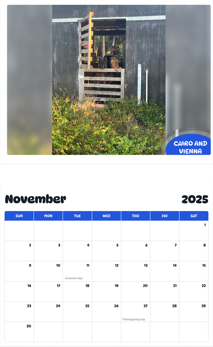 July 2025 - June 2026 Cairo and Vienna - Pawidols Pet Calendar