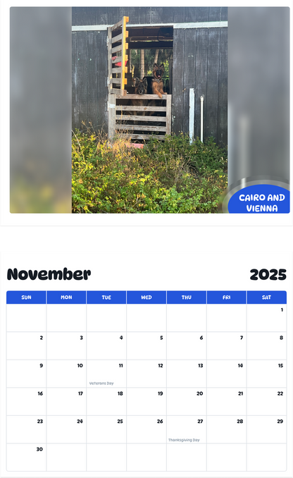 July 2025 - June 2026 Cairo and Vienna - Pawidols Pet Calendar