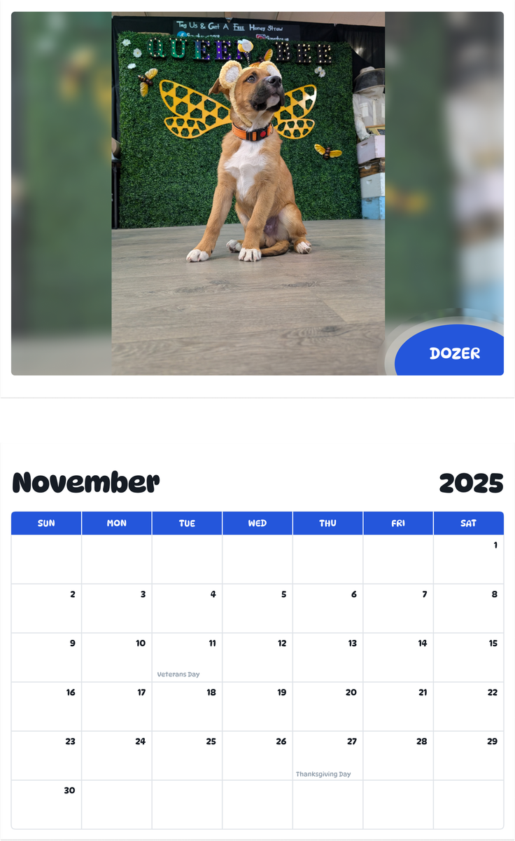 July 2025 - June 2026 Dozer - Pawidols Pet Calendar