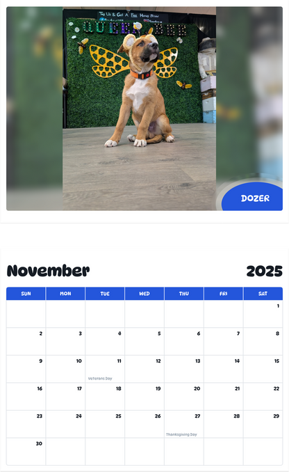 July 2025 - June 2026 Dozer - Pawidols Pet Calendar