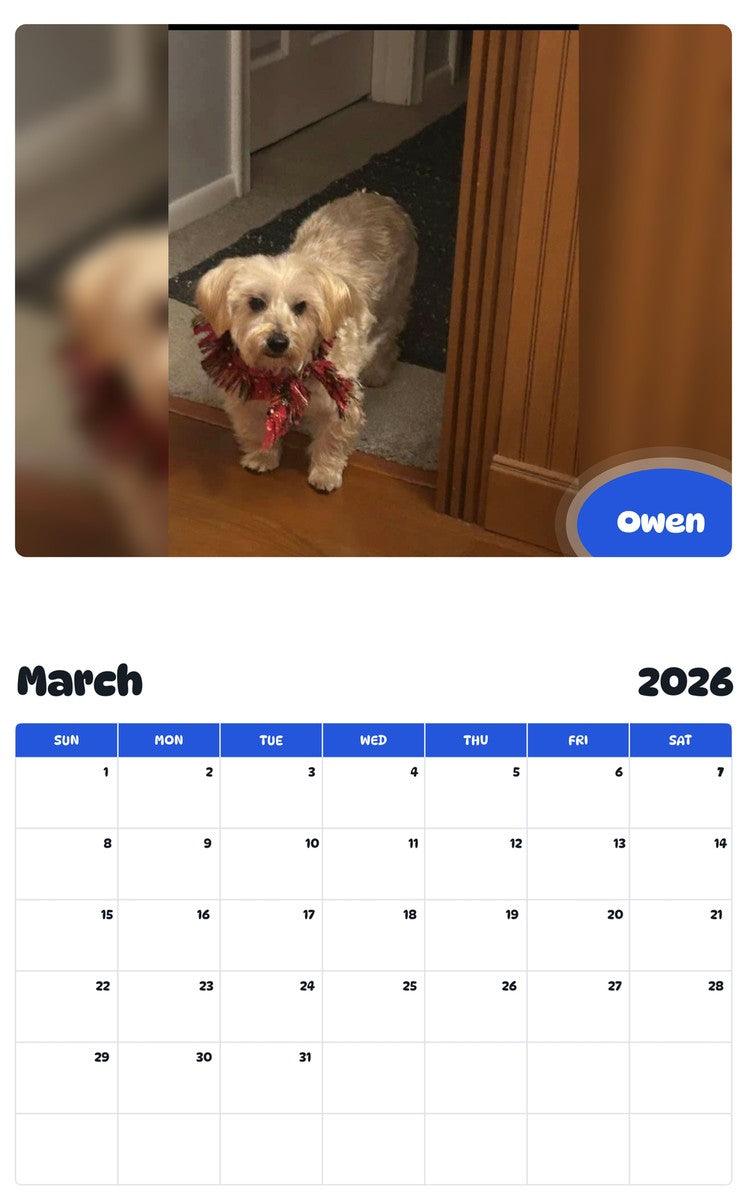 November 2025 - October 2026 Owen - Pawidols Pet Calendar