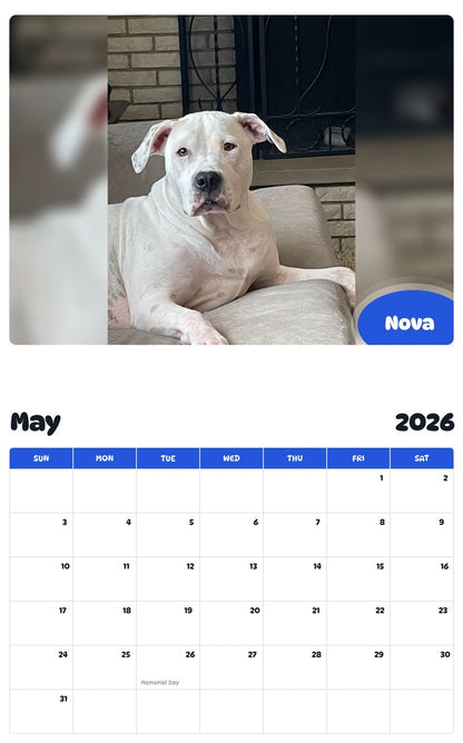 2026 - 2027 Nova - Pawidols Pet Calendar