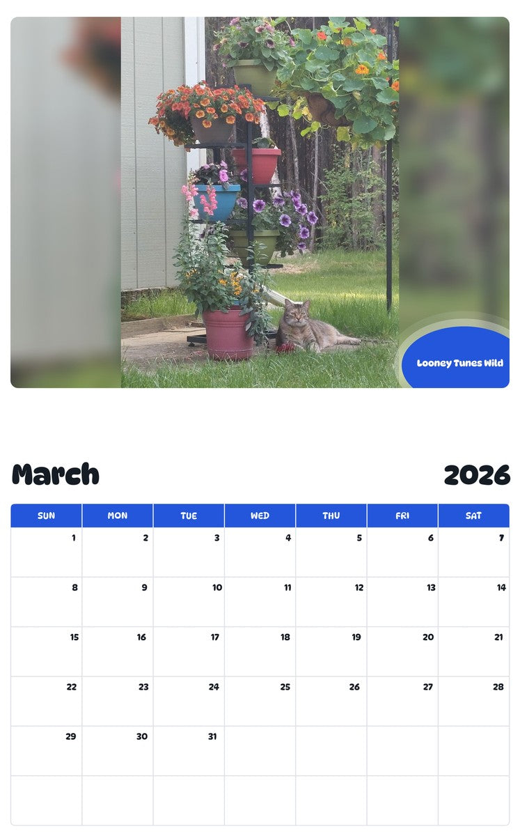 November 2025 - October 2026 Looney Tunes Wild - Pawidols Pet Calendar