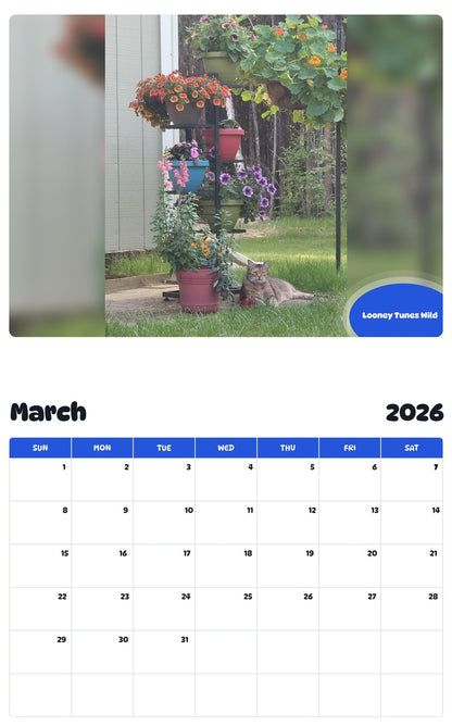 November 2025 - October 2026 Looney Tunes Wild - Pawidols Pet Calendar