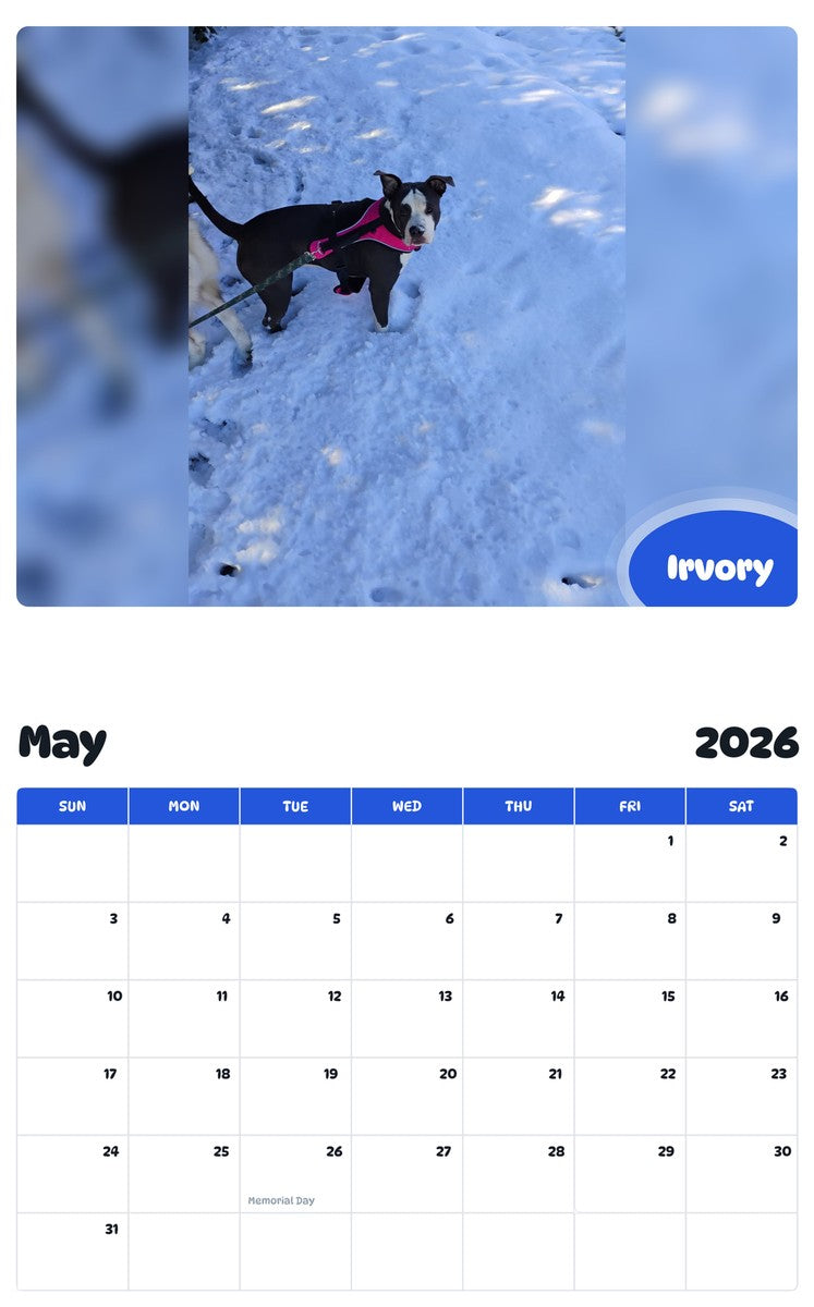 2026 - 2027 Irvory - Pawidols Pet Calendar