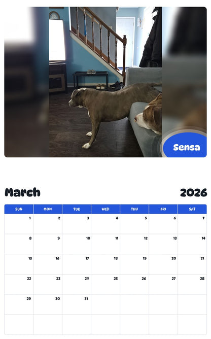 November 2025 - October 2026 Sensa - Pawidols Pet Calendar