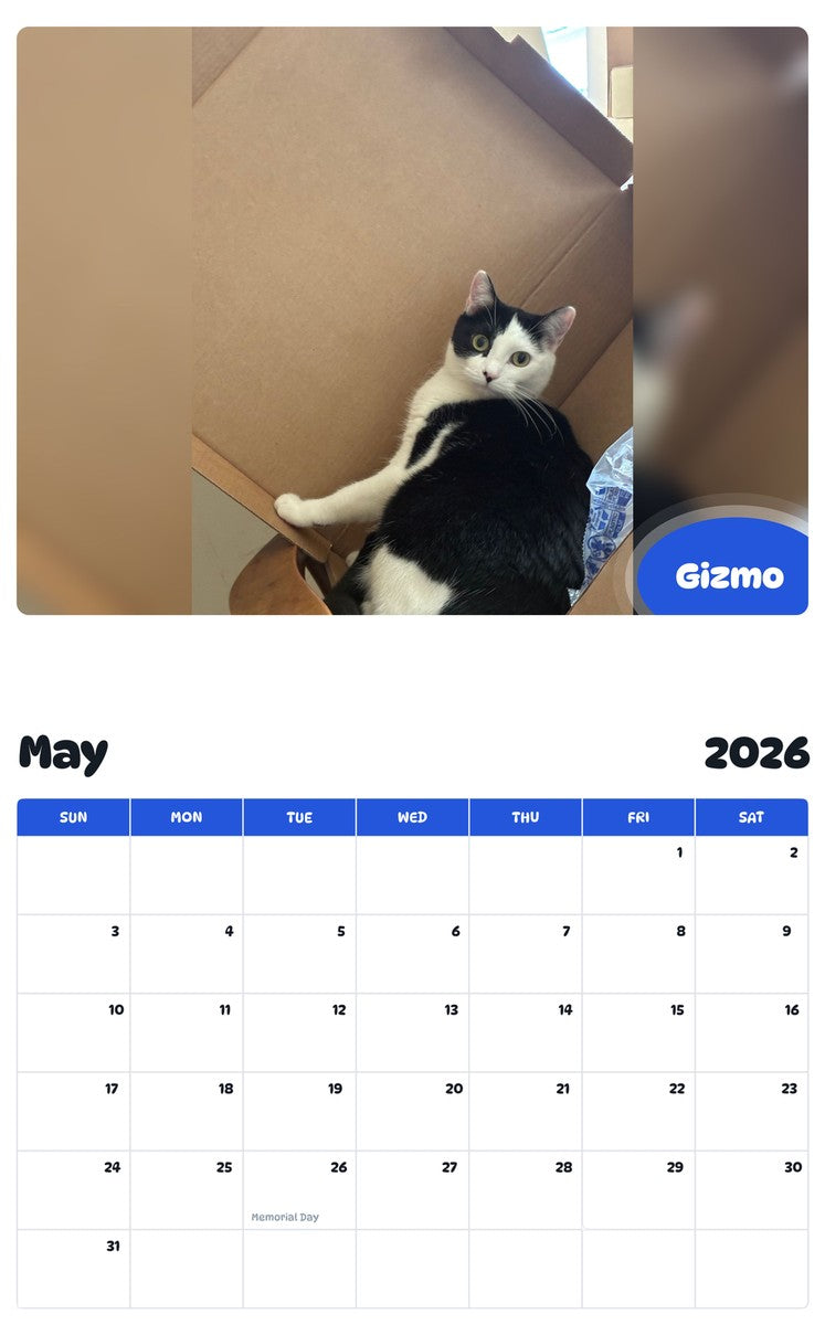 2026 - 2027 Gizmo - Pawidols Pet Calendar