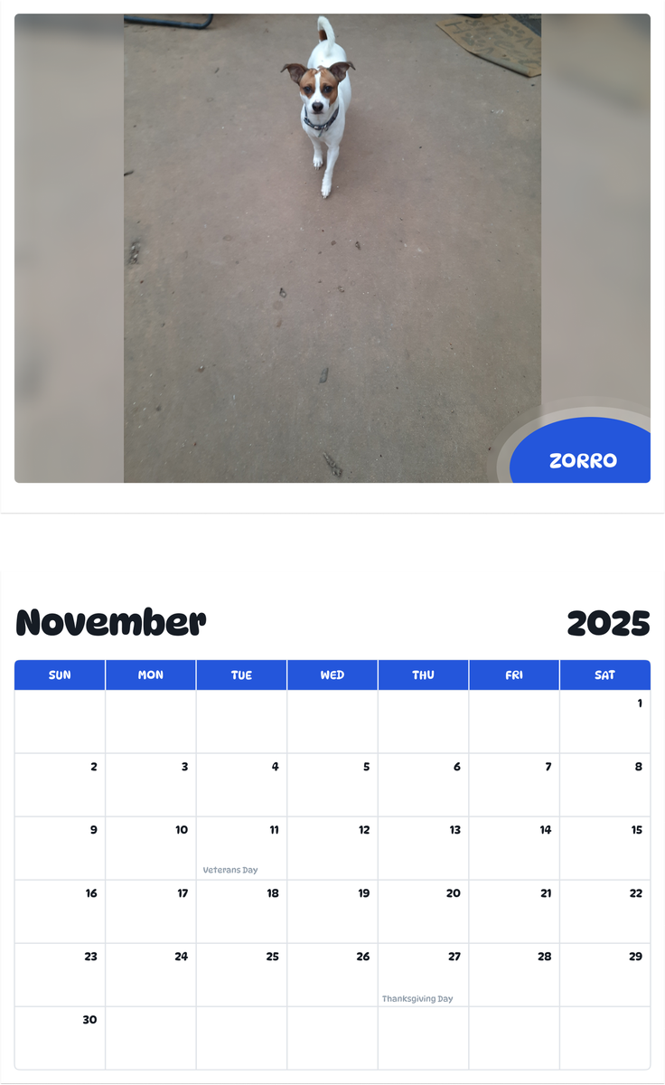 July 2025 - June 2026 Zorro - Pawidols Pet Calendar