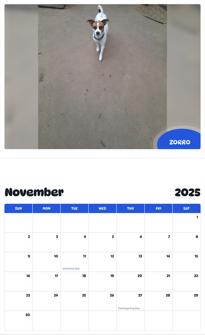 July 2025 - June 2026 Zorro - Pawidols Pet Calendar