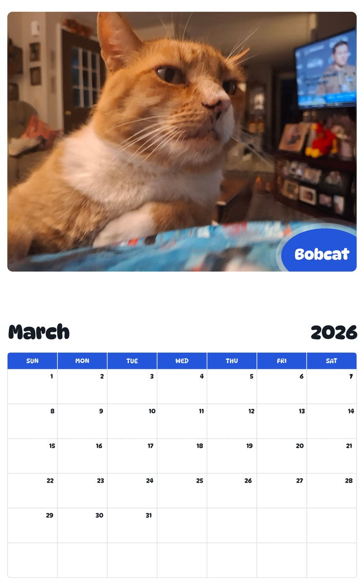 November 2025 - October 2026 Bobcat - Pawidols Pet Calendar
